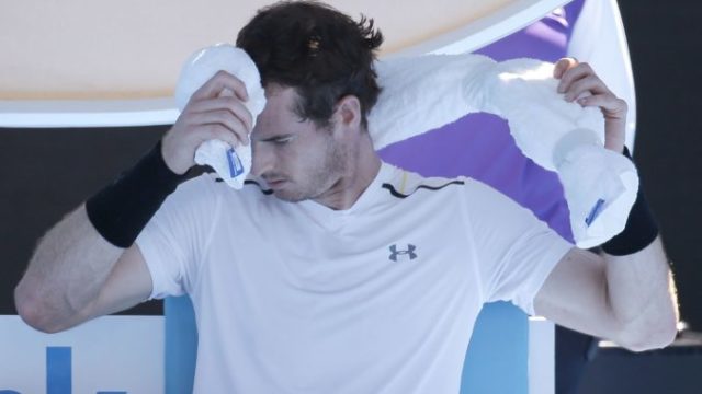 363328_andy murray 676x430.jpg