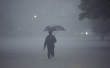 363387_harvey_50349 f6a583e60066481bb6fbb097d581ebf1 676x420.jpg