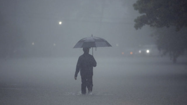 363387_harvey_50349 f6a583e60066481bb6fbb097d581ebf1 676x420.jpg