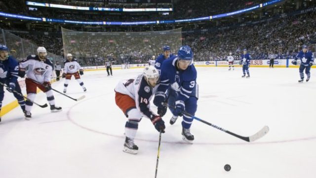 363757_auston matthews 34 jordan schroeder 676x439.jpg