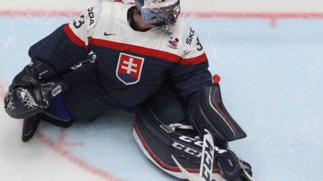 364658_julius hudacek 2 676x537.jpg