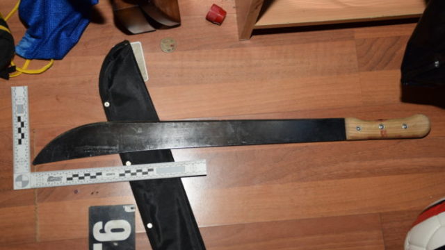 364778_dsc_0070 676x451.jpg