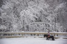 366435_snezenie v rusku 676x451.jpg