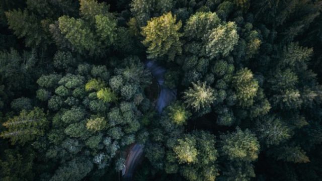 367202_intrum_landscapes_001_rf_small 676x450.jpg