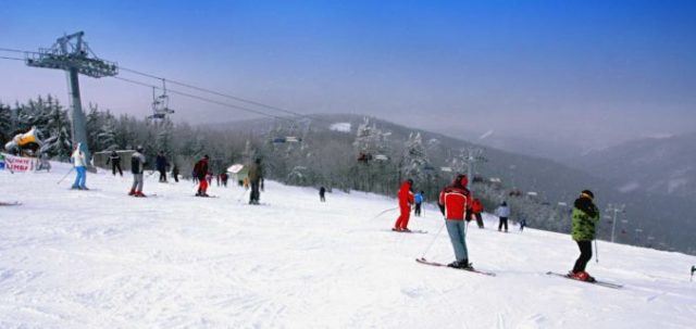 367750_dpp_0340 676x320.jpg