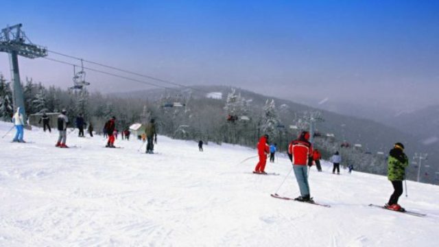 367750_dpp_0340 676x320.jpg