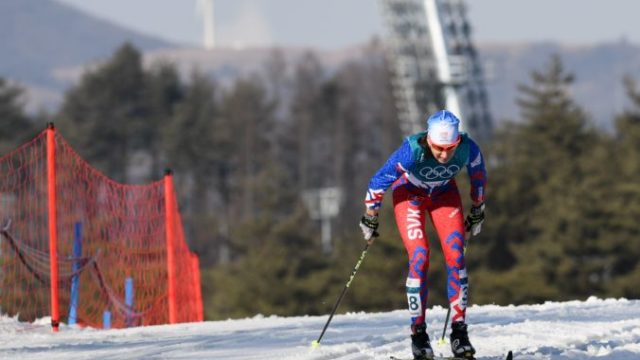 368515_alena prochazkova 2 676x543.jpg