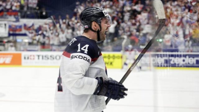 368928_andrej meszaros 676x451.jpg
