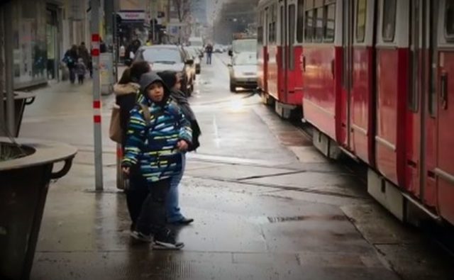 369319_vieden.jpg