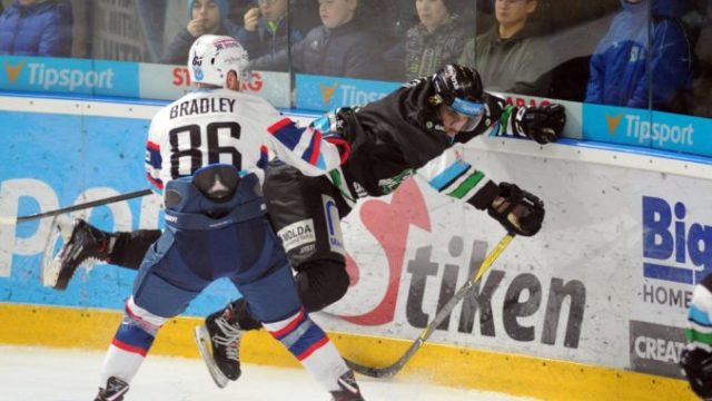 369711_cody bradley karel plasil 676x488.jpg