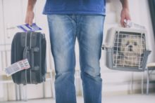 369930_thinkstockphotos 878447446 676x451.jpg