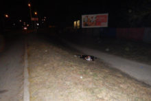 370631_dscn0952.jpg