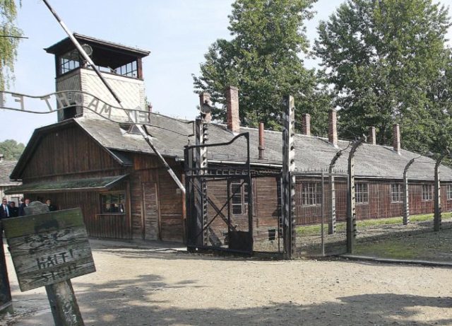 370724_polsko 2 676x487.jpg