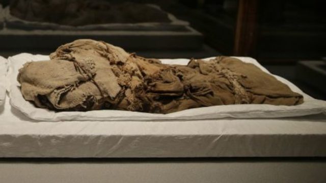 370789_unwrapping_the_mummies 06508e2b6d144c52ae13043c08c9e538.jpeg