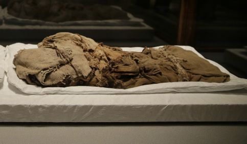 370789_unwrapping_the_mummies 06508e2b6d144c52ae13043c08c9e538.jpeg