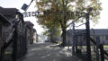 370851_auschwitz 676x455.jpg