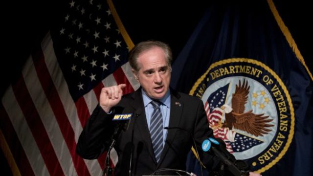 371188_david shulkin 676x451.jpg