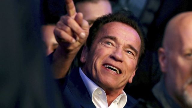 371881_arnold schwarzenegger 676x495.jpg