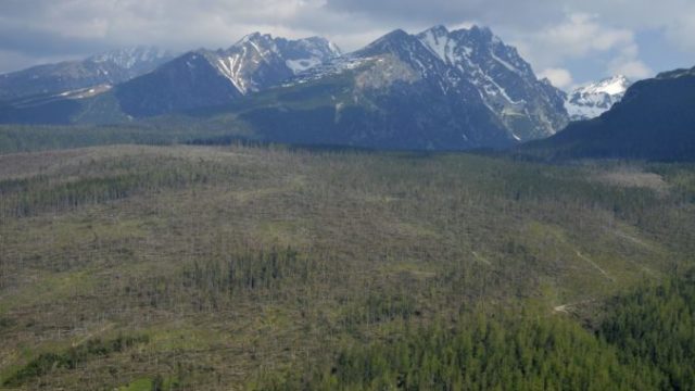 371890_tatry 676x448.jpg