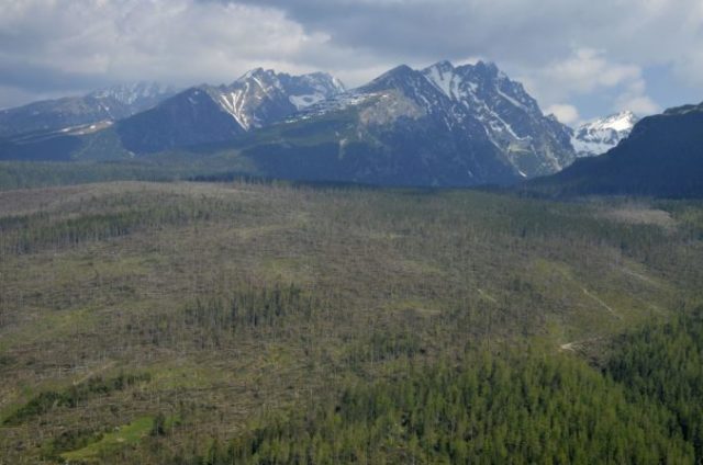 371890_tatry 676x448.jpg