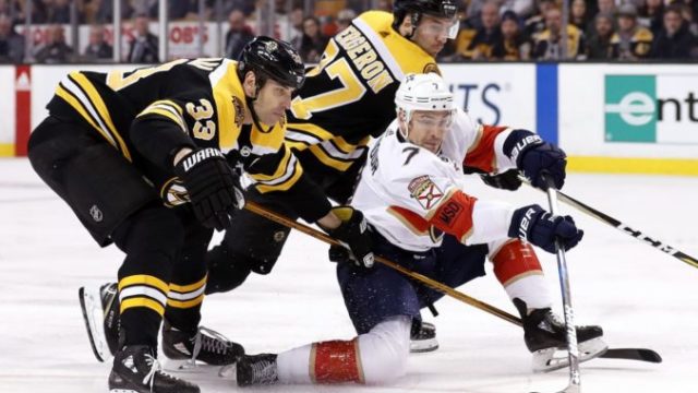 371988_panthers_bruins_hockey_46440 6b805235f6e847739f36ea2931f4d724 676x480.jpg