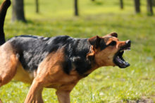 372145_thinkstockphotos 149075263 676x450.jpg