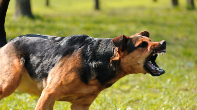 372145_thinkstockphotos 149075263 676x450.jpg