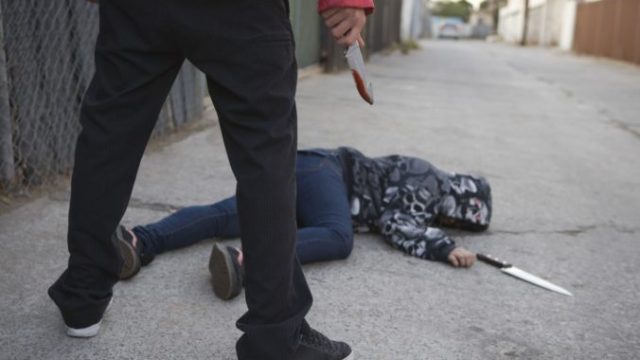 373022_noz 676x451.jpg