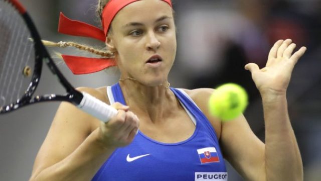 373251_belarus_tennis_fed_cup_31851 b358d859ff3646c59b57d69d6e4f1cd8 676x521.jpg