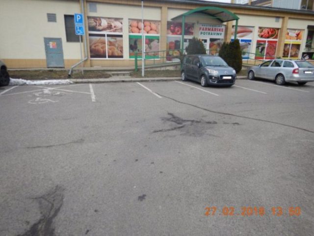 373328_dscn0596 676x507.jpg