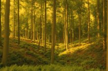 373675_thinkstockphotos 200211467 001 676x447.jpg