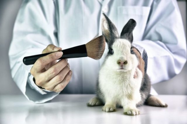 374561_thinkstockphotos 902779884 676x451.jpg