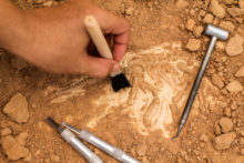 374727_thinkstockphotos 505754806 676x451.jpg