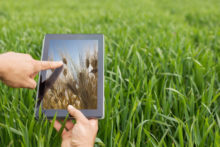 374808_thinkstockphotos 676459754 676x451.jpg