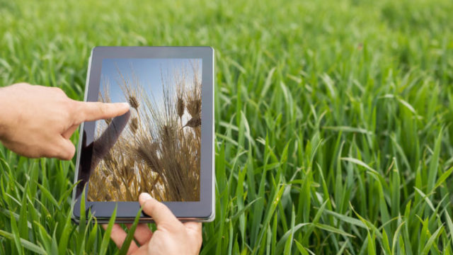 374808_thinkstockphotos 676459754 676x451.jpg