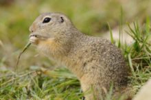 375145_thinkstockphotos 154321070 676x449.jpg
