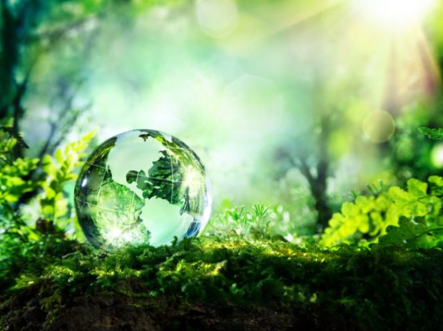 375261_thinkstockphotos 473454180 676x506.jpg