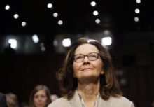 375655_gina haspelova 1 676x471.jpg