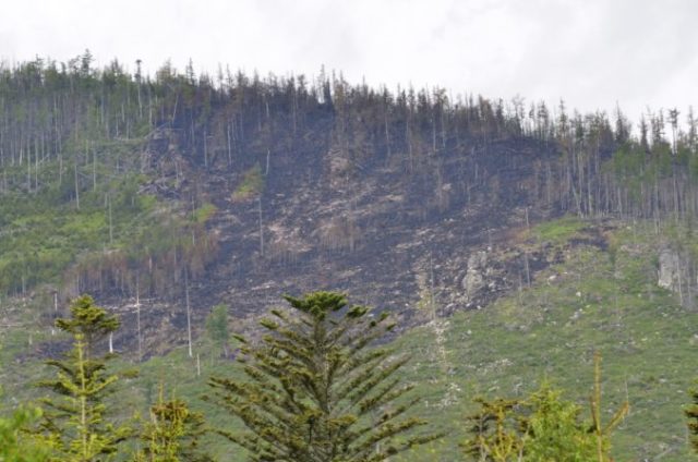 375816_dsc8272 676x448.jpg