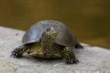 376106_thinkstockphotos 664637614 676x450.jpg