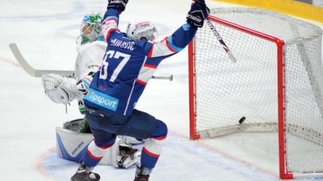 377307_matej paulovic 676x488.jpg