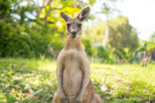 378333_thinkstockphotos 508549040 676x451.jpg