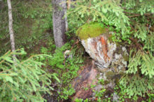 379520_02 3 676x451.jpg