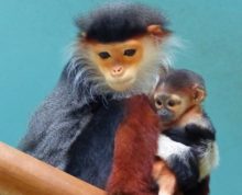 379913_36336044_10157056719752439_8116539937970454528_n e1530446386321.jpg