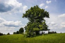 380560_36692112_10156591432835929_2635856218790297600_n 676x451.jpg