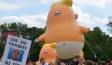 381194_trump protest 676x393.jpg
