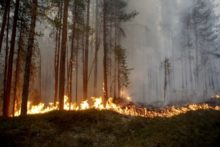 381736_sweden_wildfire_62260 f48beaa355a64ae79db18a153f9b4e03 676x451.jpg