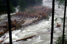 381749_01 2 676x448.jpg