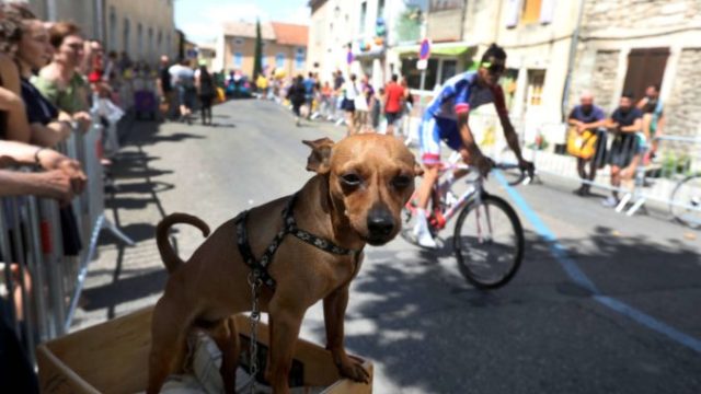 381805_france_cycling_tour_de_france_72477 3a469567a39543b0af93ee48f63118c4 676x451.jpg