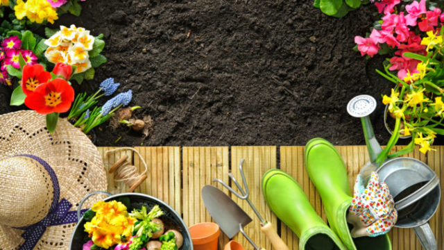381987_thinkstockphotos 511728426 676x451.jpg